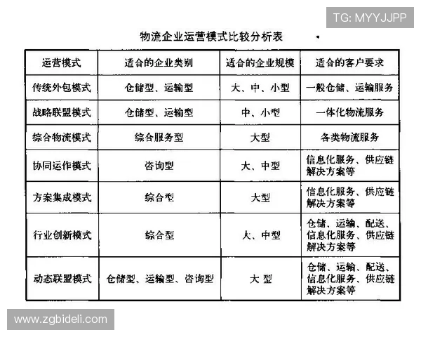 武汉排球队的战术创新与运营体系分析探讨 武汉排球队的战术创新与运营体系分析探讨
