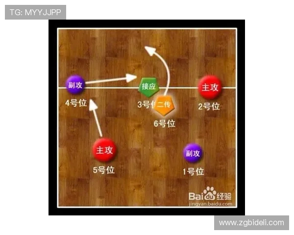 深圳排球队与南京排球队赛后分析力量对比与战术总结 深圳排球队与南京排球队赛后分析力量对比与战术总结