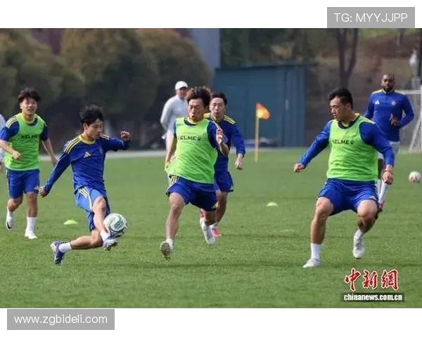 南京足球队在洲际杯中的技术表现分析与点评