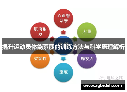 提升运动员体能素质的训练方法与科学原理解析