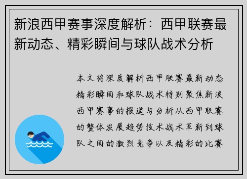 新浪西甲赛事深度解析：西甲联赛最新动态、精彩瞬间与球队战术分析