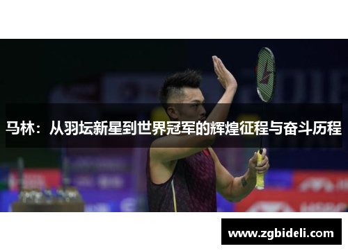 马林：从羽坛新星到世界冠军的辉煌征程与奋斗历程